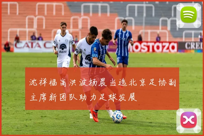 沈祥福高洪波杨晨当选北京足协副主席新团队助力足球发展