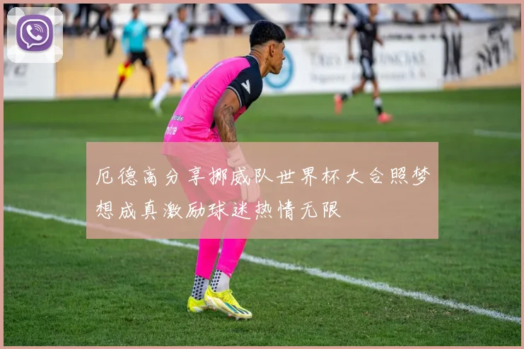 厄德高分享挪威队世界杯大合照梦想成真激励球迷热情无限
