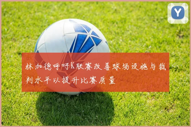 林加德呼吁K联赛改善球场设施与裁判水平以提升比赛质量